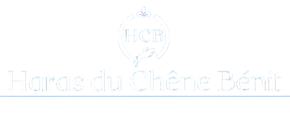 design sans titre 2