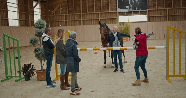 haras chene benit carriere
