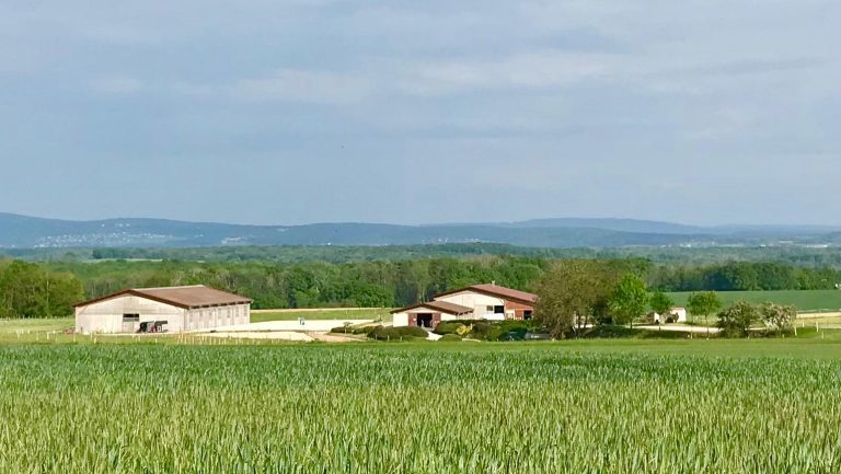 haras chene benit ext