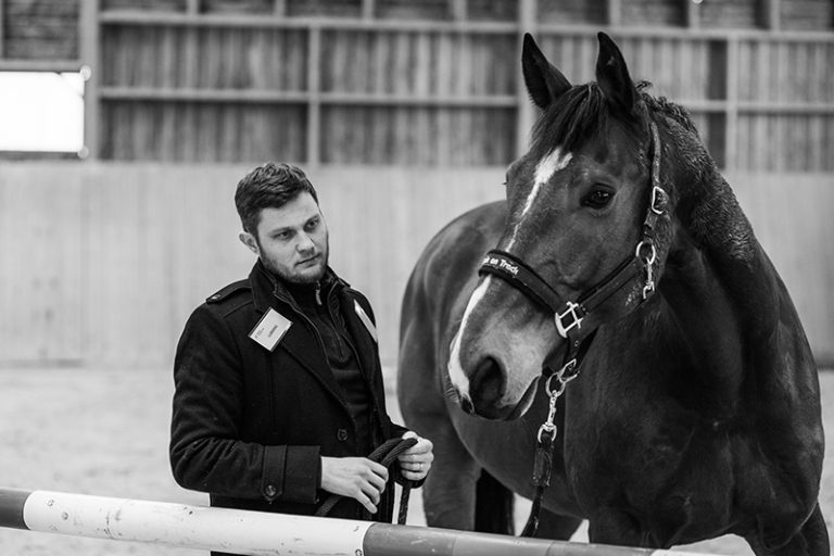 haras chene benit horse ressource2