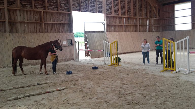 haras chene benit manege2