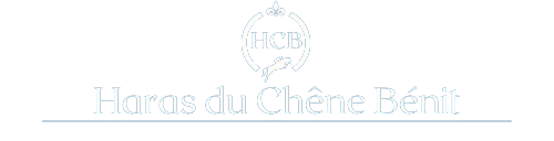logo haras chene benit 2